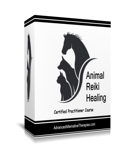 Animal Reiki Energy Healing Certification